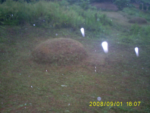 080901_S5031446.jpg