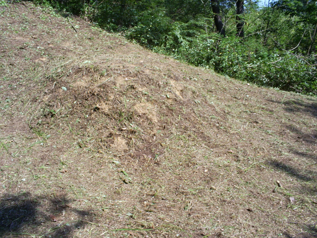 090915_sannumeo185323.jpg