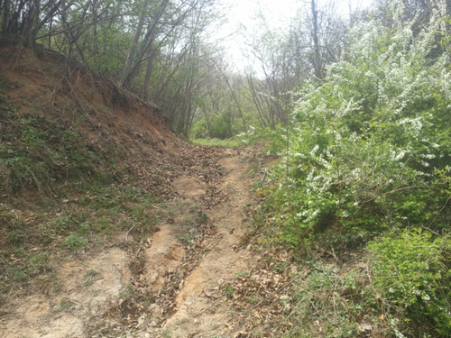 120626_sannumeo182626.jpg